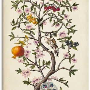 Wandbild ARTLAND Chinoiserie Natur I Bilder Gr. B/H: 75 cm x 150 cm, Leinwandbild Pflanzen Hochformat, 1 St., beige (naturfarben) Kunstdrucke