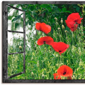 Wandbild ARTLAND Fensterblick - Klatschmohn Bilder Gr. B/H: 120 cm x 80 cm, Leinwandbild Fensterblick, 1 St., rot Kunstdrucke als Alubild, Leinwandbild, Wandaufkleber oder Poster in versch. Größen