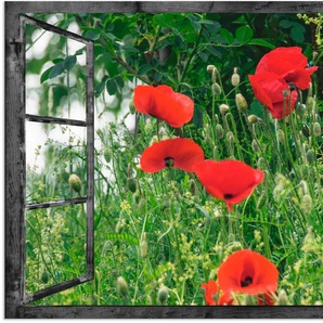 Wandbild ARTLAND Fensterblick - Klatschmohn Bilder Gr. B/H: 90 cm x 60 cm, Alu-Dibond-Druck Fensterblick, 1 St., rot Kunstdrucke als Alubild, Outdoorbild, Leinwandbild in verschied. Größen
