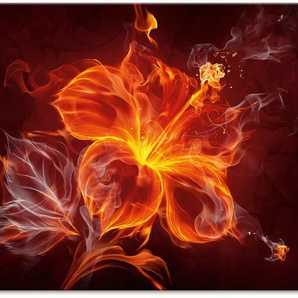 Wandbild ARTLAND Feuerblume Bilder Gr. B/H: 120 cm x 90 cm, Leinwandbild Blumen Querformat, 1 St., rot Kunstdrucke