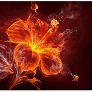 Wandbild ARTLAND Feuerblume Bilder Gr. B/H: 120 cm x 90 cm, Leinwandbild Blumen Querformat, 1 St., rot Kunstdrucke als Leinwandbild, Wandaufkleber oder Poster in versch. Größen