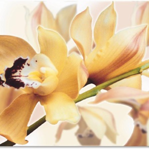 Wandbild ARTLAND Gelbe Orchidee Bilder Gr. B/H: 100 cm x 70 cm, Alu-Dibond-Druck Blumenbilder Querformat, 1 St., gelb Kunstdrucke