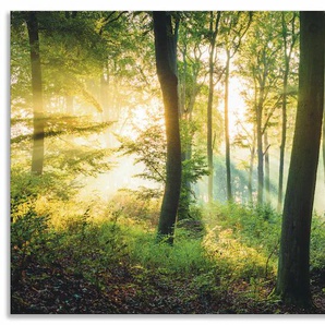 Wandbild ARTLAND Herbst im Wald II Bilder Gr. B/H: 150 cm x 75 cm, Alu-Dibond-Druck Waldbilder Querformat, 1 St., grün Kunstdrucke