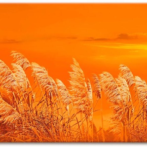 Wandbild ARTLAND Im Wind Bilder Gr. B/H: 100 cm x 50 cm, Leinwandbild Gräser, 1 St., orange Kunstdrucke