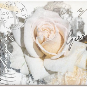 Wandbild ARTLAND In Buchstaben - Rose Bilder Gr. B/H: 120 cm x 90 cm, Leinwandbild Blumen, 1 St., weiß Kunstdrucke