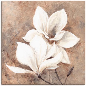 Wandbild ARTLAND Klassische Magnolien Bilder Gr. B/H: 100 cm x 100 cm, Leinwandbild Blumen, 1 St., beige (naturfarben) Kunstdrucke