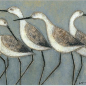 Wandbild ARTLAND Küstenvögel I Bilder Gr. B/H: 120 cm x 90 cm, Alu-Dibond-Druck Vögel Querformat, 1 St., grau Kunstdrucke als Alubild, Leinwandbild, Wandaufkleber oder Poster in versch. Größen