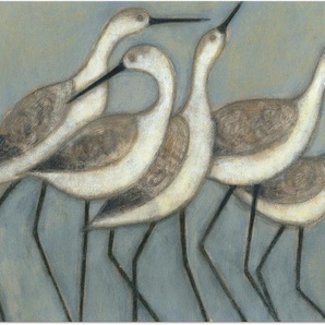 Wandbild ARTLAND Küstenvögel II Bilder Gr. B/H: 120 cm x 90 cm, Alu-Dibond-Druck Vögel Querformat, 1 St., grau Kunstdrucke als Alubild, Leinwandbild, Wandaufkleber oder Poster in versch. Größen