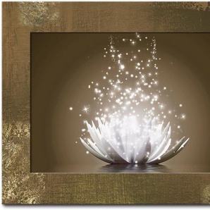 Wandbild ARTLAND Magie der Lotus-Blume Bilder Gr. B/H: 80,9 cm x 59,9 cm, Wandbild Blumen, 1 St., braun Kunstdrucke