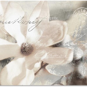 Wandbild ARTLAND Magnolie_Detail Bilder Gr. B/H: 120 cm x 90 cm, Alu-Dibond-Druck Blumenbilder Querformat, 1 St., weiß Kunstdrucke