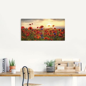 Wandbild ARTLAND Mohnblumen Bilder Gr. B/H: 100 cm x 50 cm, Leinwandbild Blumen Querformat, 1 St., rot Kunstdrucke