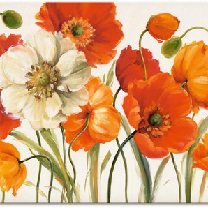 Wandbild ARTLAND Mohnblumen I Bilder Gr. B/H: 120 cm x 90 cm, Leinwandbild Blumen Querformat, 1 St., orange Kunstdrucke als Leinwandbild, Poster, Wandaufkleber in verschied. Größen