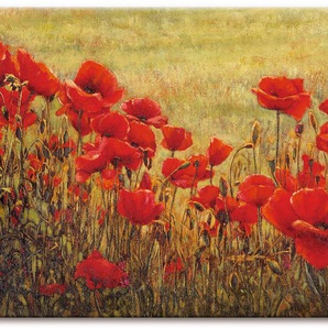 Wandbild ARTLAND Mohnfeld Bilder Gr. B/H: 150 cm x 75 cm, Leinwandbild Blumenwiese, 1 St., rot Kunstdrucke