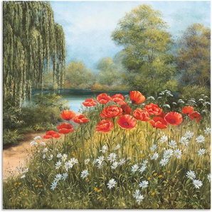 Wandbild ARTLAND Mohnwiese am See Bilder Gr. B/H: 100 cm x 100 cm, Alu-Dibond-Druck Blumenwiese, 1 St., grün Kunstdrucke