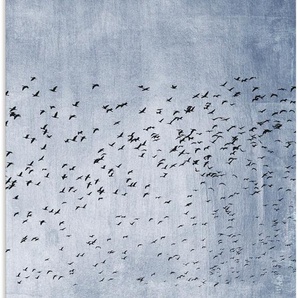 Wandbild ARTLAND Moving On - Blau Bilder Gr. B/H: 80 cm x 120 cm, Alu-Dibond-Druck Vogelbilder Hochformat, 1 St., grau Kunstdrucke als Alubild, Leinwandbild, Wandaufkleber oder Poster in versch. Größen