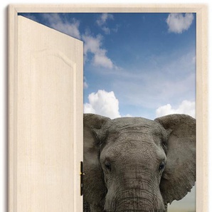 Wandbild ARTLAND Offene weiße Türe mit Blick auf Elefant Bilder Gr. B/H: 75 cm x 150 cm, Leinwandbild Wildtiere Hochformat, 1 St., grau Kunstdrucke als Alubild, Leinwandbild, Wandaufkleber oder Poster in versch. Größen