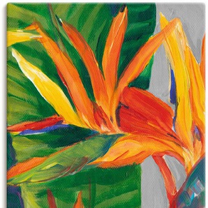 Wandbild ARTLAND Paradiesvogel II Bilder Gr. B/H: 75 cm x 150 cm, Leinwandbild Pflanzen Hochformat, 1 St., grün Kunstdrucke