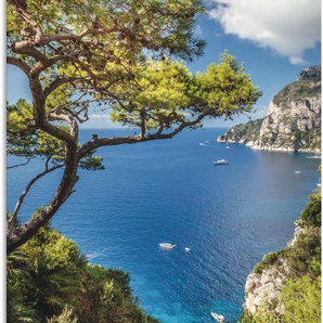 Wandbild ARTLAND Punta de Masullo, Insel Capri, Italien Bilder Gr. B/H: 60 cm x 90 cm, Alu-Dibond-Druck Meer Bilder Hochformat, 1 St., blau Kunstdrucke