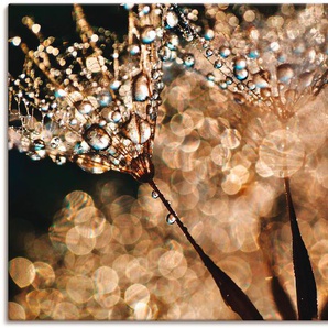 Wandbild ARTLAND Pusteblume Goldschimmer Bilder Gr. B/H: 120 cm x 90 cm, Leinwandbild Blumen, 1 St., goldfarben Kunstdrucke als Alubild, Outdoorbild, Leinwandbild, Poster, Wandaufkleber