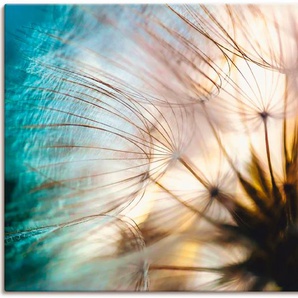 Wandbild ARTLAND Pusteblume Makro abstrakt Bilder Gr. B/H: 120 cm x 90 cm, Leinwandbild Blumen, 1 St., beige (naturfarben) Kunstdrucke als Alubild, Outdoorbild, Leinwandbild, Poster, Wandaufkleber