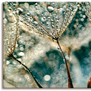 Wandbild ARTLAND Pusteblume Regenschauer Bilder Gr. B/H: 150 cm x 75 cm, Leinwandbild Blumen, 1 St., grau Kunstdrucke als Alubild, Leinwandbild, Wandaufkleber oder Poster in versch. Größen