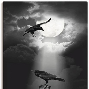 Wandbild ARTLAND Raben in der Nacht Bilder Gr. B/H: 50 cm x 100 cm, Leinwandbild Vögel, 1 St., schwarz Kunstdrucke