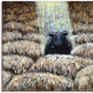 Wandbild ARTLAND Schwarzes Schaf Bilder Gr. B/H: 120 cm x 90 cm, Leinwandbild Haustiere, 1 St., braun Kunstdrucke