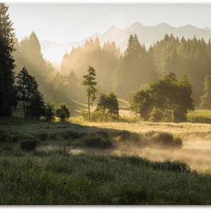 Wandbild ARTLAND Sommermorgen in den Alpen Bilder Gr. B/H: 120 cm x 80 cm, Leinwandbild Wiesen & Bäume Querformat, 1 St., grün Kunstdrucke