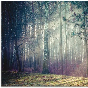 Wandbild ARTLAND Sonnenstrahlen im Wald Bilder Gr. B/H: 130 cm x 90 cm, Alu-Dibond-Druck Waldbilder Querformat, 1 St., blau Kunstdrucke