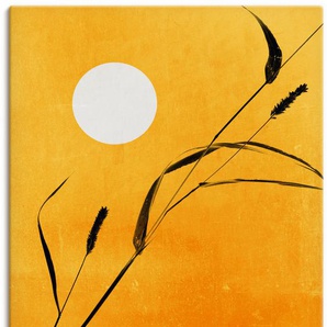 Wandbild ARTLAND Sonniger Tag Bilder Gr. B/H: 80 cm x 120 cm, Leinwandbild Pflanzenbilder Hochformat, 1 St., goldfarben Kunstdrucke als Alubild, Leinwandbild, Wandaufkleber oder Poster in versch. Größen