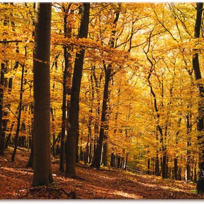 Wandbild ARTLAND Spaziergang im Herbstwald Bilder Gr. B/H: 120 cm x 80 cm, Leinwandbild Wald, 1 St., goldfarben Kunstdrucke