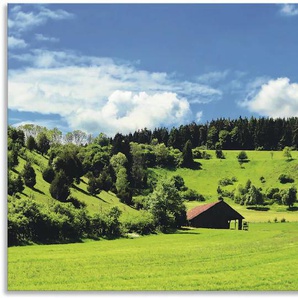 Wandbild ARTLAND Traumhafte Landschaft im Schwarzwald Bilder Gr. B/H: 100 cm x 50 cm, Alu-Dibond-Druck Wiesen & Baumbilder Querformat, 1 St., grün Kunstdrucke