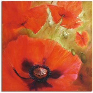 Wandbild ARTLAND Vier mal Mohn Bilder Gr. B/H: 100 cm x 100 cm, Leinwandbild Blumen quadratisch, 1 St., rot Kunstdrucke als Alubild, Leinwandbild, Wandaufkleber oder Poster in versch. Größen