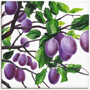 Wandbild ARTLAND Violette Pflaumen Bilder Gr. B/H: 100 cm x 100 cm, Leinwandbild Bäume, 1 St., lila Kunstdrucke als Alubild, Leinwandbild, Wandaufkleber oder Poster in versch. Größen