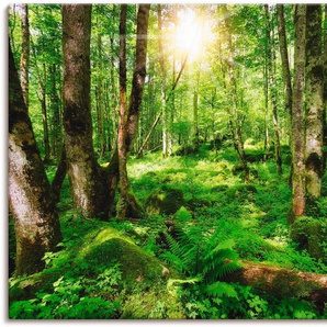 Wandbild ARTLAND Wald Bilder Gr. B/H: 120 cm x 80 cm, Leinwandbild Wald, 1 St., grün Kunstdrucke
