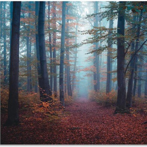 Wandbild ARTLAND Wald im Nebel Bilder Gr. B/H: 120 cm x 80 cm, Alu-Dibond-Druck Waldbilder Querformat, 1 St., rot Kunstdrucke als Alubild, Outdoorbild in verschied. Größen
