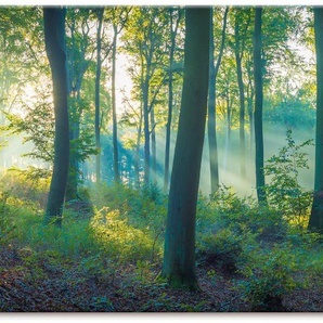 Wandbild ARTLAND Wald Panorama Bilder Gr. B/H: 150 cm x 75 cm, Leinwandbild Waldbilder Querformat, 1 St., grün Kunstdrucke