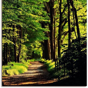 Wandbild ARTLAND Weg im Wald Bilder Gr. B/H: 90 cm x 120 cm, Leinwandbild Wald, 1 St., grün Kunstdrucke