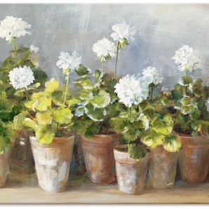 Wandbild ARTLAND Weiße Geranien Bilder Gr. B/H: 120 cm x 90 cm, Leinwandbild Blumen Querformat, 1 St., weiß Kunstdrucke