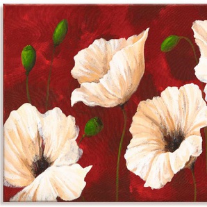 Wandbild ARTLAND Weiße Mohnblumen vor rot Bilder Gr. B/H: 150 cm x 75 cm, Leinwandbild Blumen, 1 St., rot Kunstdrucke als Alubild, Outdoorbild, Leinwandbild, Poster, Wandaufkleber