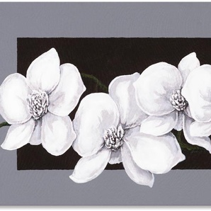 Wandbild ARTLAND Weiße Orchideen auf grau Bilder Gr. B/H: 150 cm x 75 cm, Alu-Dibond-Druck Blumen, 1 St., schwarz Kunstdrucke