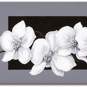 Wandbild ARTLAND Weiße Orchideen auf grau Bilder Gr. B/H: 150 cm x 75 cm, Leinwandbild Blumen, 1 St., schwarz Kunstdrucke