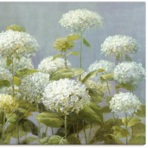 Wandbild ARTLAND Weißer Hortensien Garten Bilder Gr. B/H: 120 cm x 90 cm, Leinwandbild Blumen Querformat, 1 St., weiß Kunstdrucke