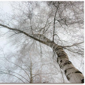 Wandbild ARTLAND Winter Birke Bilder Gr. B/H: 120 cm x 90 cm, Leinwandbild Bäume Querformat, 1 St., grau Kunstdrucke