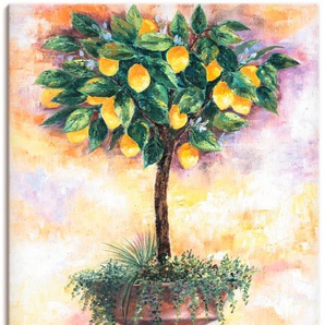 Wandbild ARTLAND Zitronenbaum Bilder Gr. B/H: 90 cm x 120 cm, Leinwandbild Bäume Hochformat, 1 St., gelb Kunstdrucke