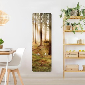 Wandgarderobe Greater Taree
