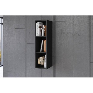 Wandregal Habas Spanplatte, foliert Schwarz/Schwarz 30 x 110 x 35cm