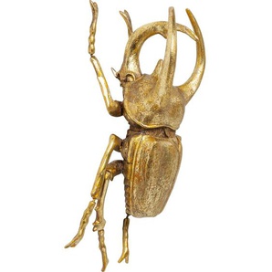 Wandschmuck Atlas Beetle
