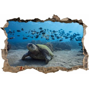 Wandtattoo Schildkröte im Ozean