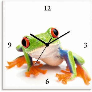 Wanduhr ARTLAND Großaufnahme eines Frosches vor weiß Wanduhren Gr. B/H/T: 30 cm x 30 cm x 1,7 cm, Funkuhr, weiß Wanduhren wahlweise mit Quarz- oder Funhuhrwerk, lautlos ohne Tickgeräusche